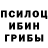 Псилоцибиновые грибы ЛСД Micah Carrier