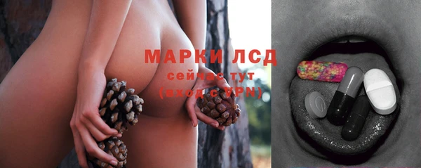 гашик Арсеньев